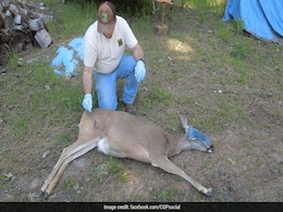 Poachers Slaughtered Hundreds Of Animals In Pacific Northwest For "Thrill," Police Say Poachers Slaughtered Hundreds Of Animals In Pacific Northwest For "Thrill," Police Say