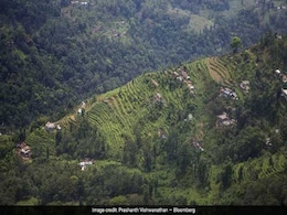 Pesticides Helped Bring Modern Farming To India. One Tiny State Is Leading The Charge To Ban Them Pesticides Helped Bring Modern Farming To India. One Tiny State Is Leading The Charge To Ban Them