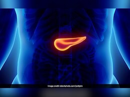 Pancreatic Cancer Awareness Month: जानें कौन हो सकते हैं अग्नाशय कैंसर से पीड़ित, क्या है लक्षण