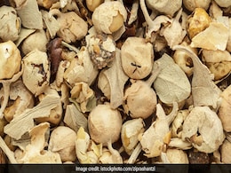 Diabetes Diet: डायबिटीज कंट्रोल करने में मददगार हो सकता है पनीर डोडा, जानें क्या होता है और कैसे करें इस्तेमाल Diabetes Diet: डायबिटीज कंट्रोल करने में मददगार हो सकता है पनीर डोडा, जानें क्या होता है और कैसे करें इस्तेमाल