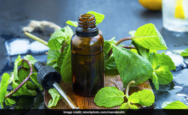Oral Health: Use Peppermint (Mint) For Keeping Your Teeth And Gums Strong