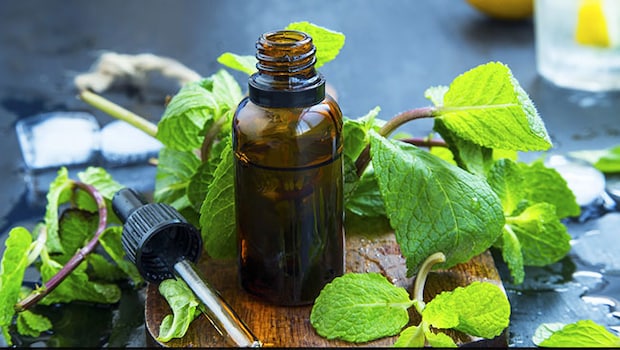 peppermint oil