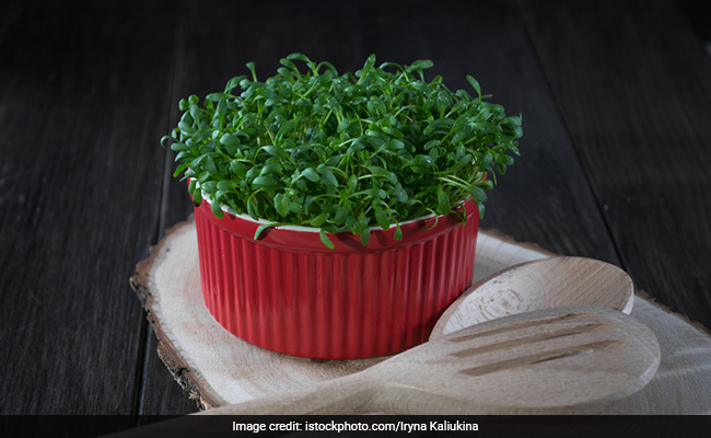 शाकाहारी लोगों के लिए Good News, ये पौधा पूरी करेगा विटामिन B12 की कमी