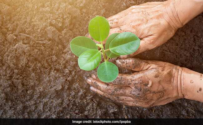 गुरुग्राम में मैक्स हॉस्पिटल का नया अभियान, डाॅक्टर्स ने ली ये कसम