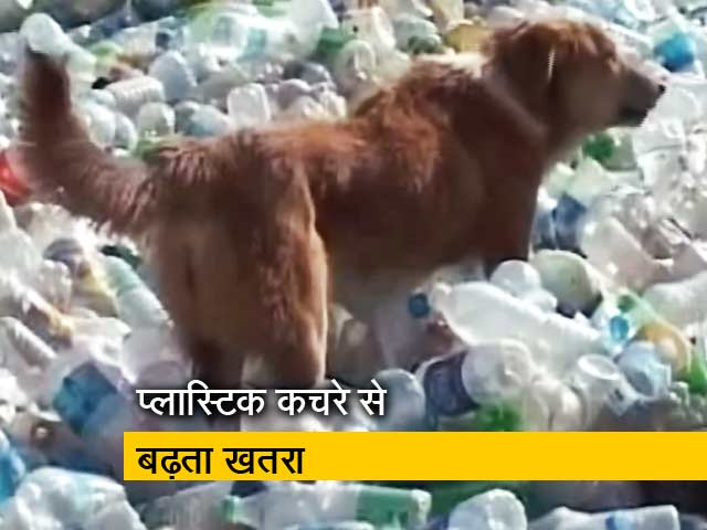 23 जून से महाराष्ट्र में प्लास्टिक पर पाबंदी