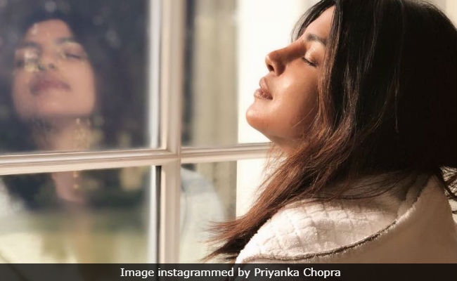 What Is Priyanka Chopra Upto Hours Before Meghan Markle And Prince Harry's Wedding