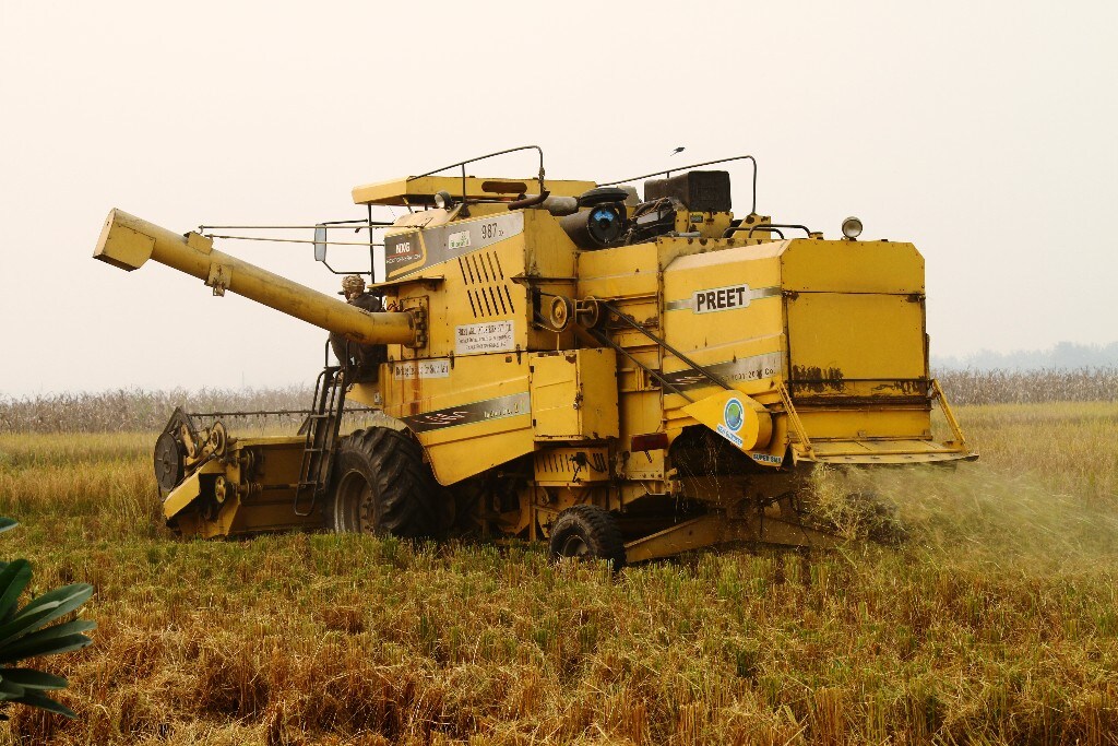 Combine cutting paddy and spreading straw at BISA, Ludhiana (Source: Vivian Fernandes)