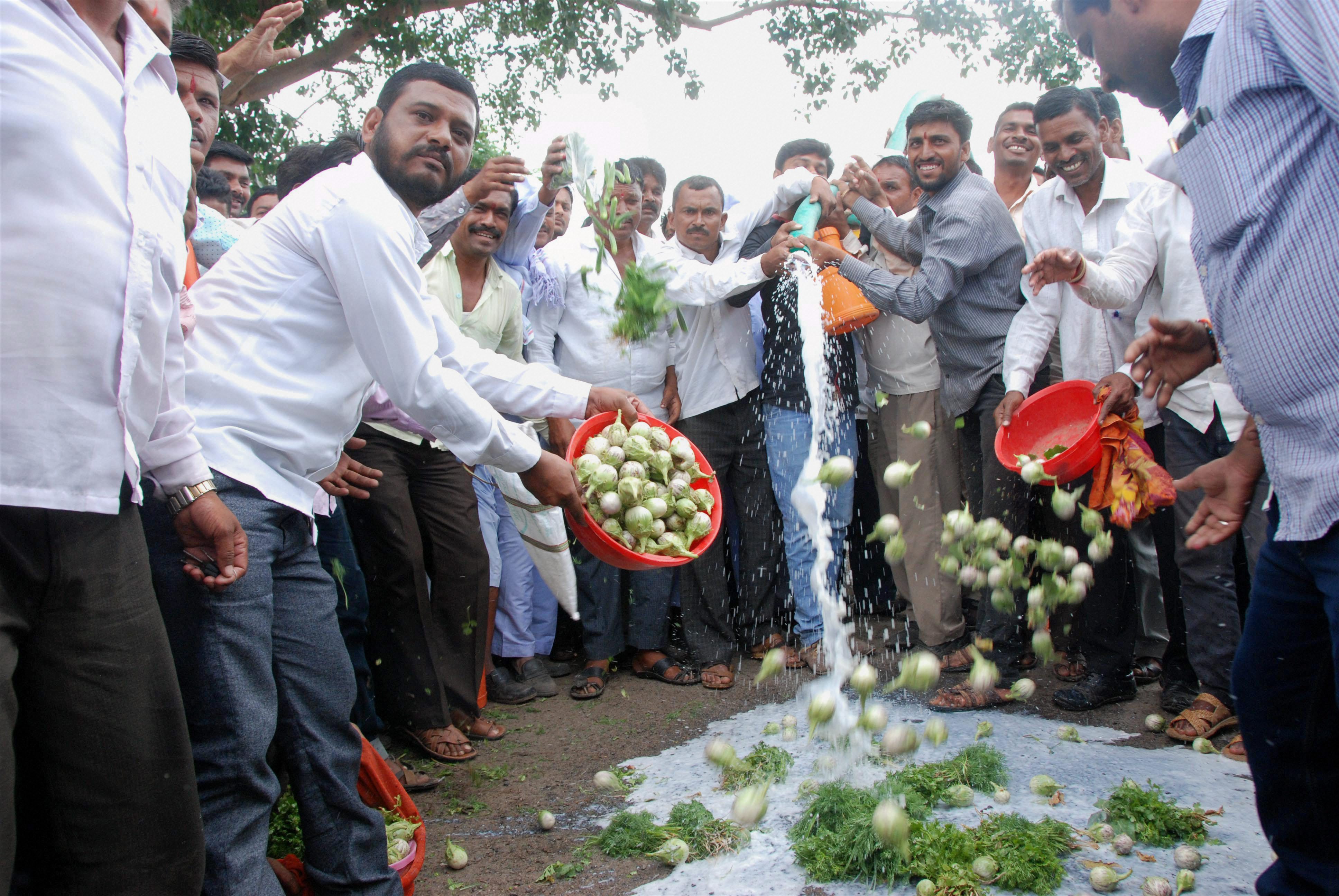 Farmers throw vegetables on a road during their 3rd Day farmer's Strike at Palshi in Aurangabad on Saturday. (Source: PTI)