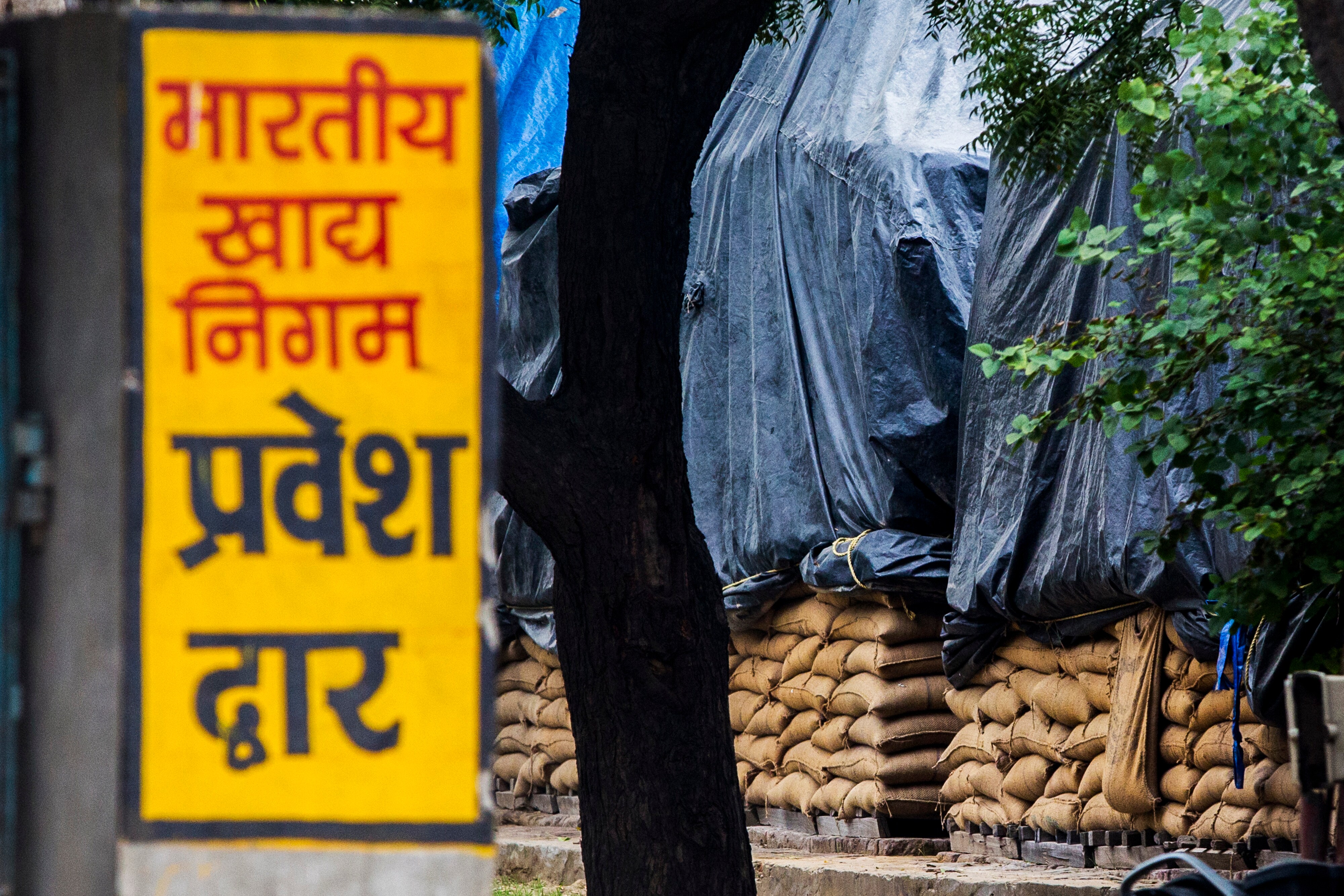 Sacks of wheat sit under tarps while being stored in the open at the site of a Food Corporation of India grain warehouse in Sonepat, Haryana, India. (Photographer: Prashanth Vishwanathan/Bloomberg)
