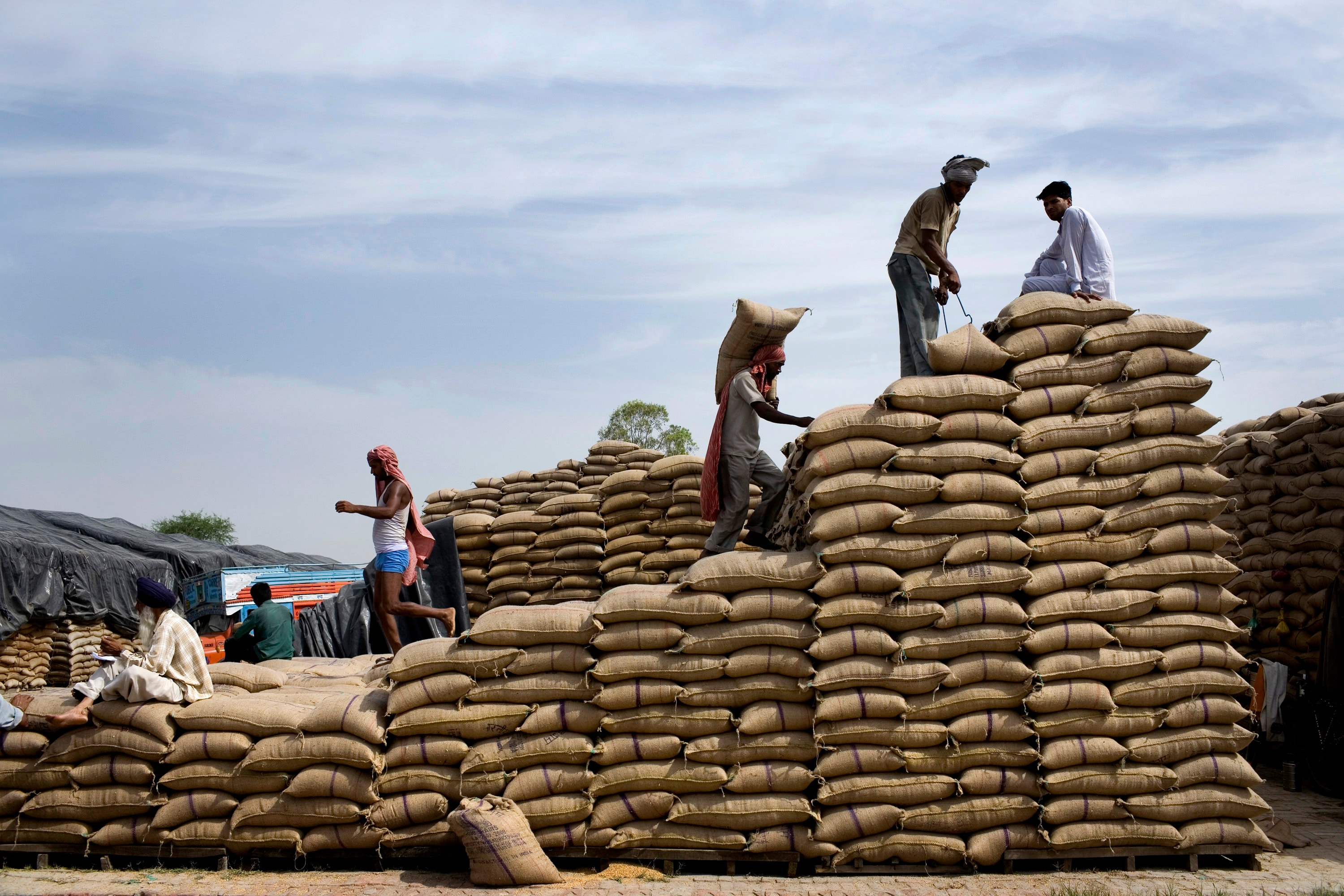 Daily wage laborers stack sacks of grain at a warehouse in Faridkot, India (Photographer: Sanjit Das/Bloomberg News)