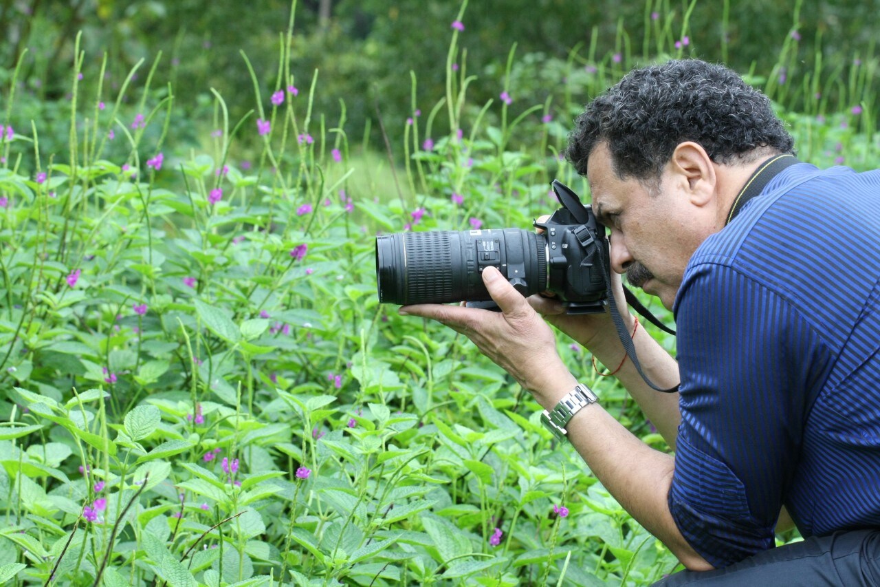 (Image courtesy: Isaac Kehimkar)