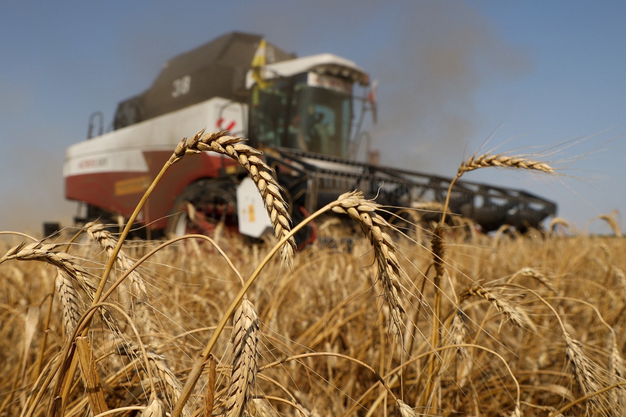 Putin said he'll allow exports of grain and fertilizer only if the sanctions on his country are lifted.Source: Bloomberg