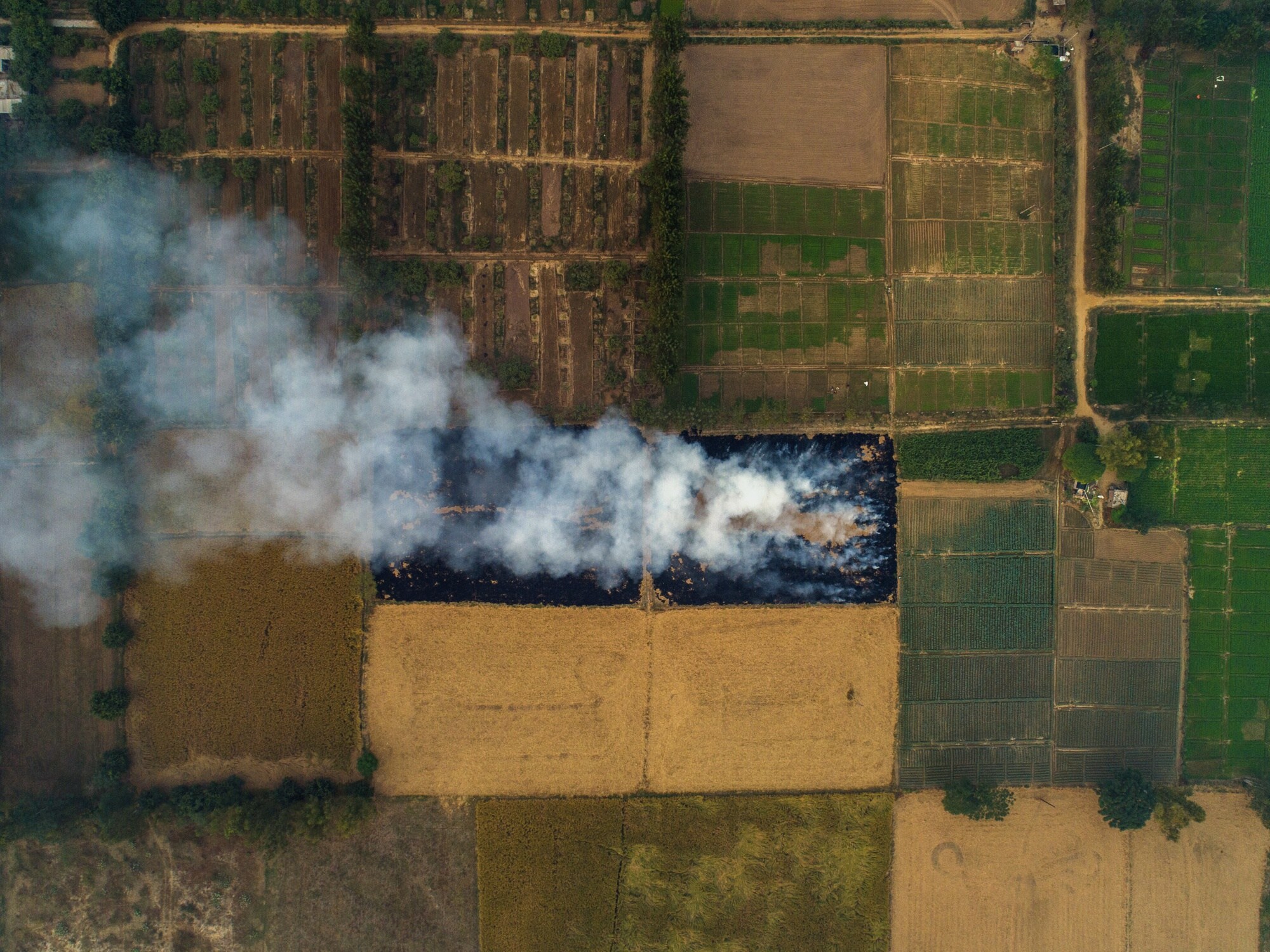 Smoke from the burning of rice crop stubble in Punjab in 2019. Photographer: Prashanth Vishwanathan/Bloomberg