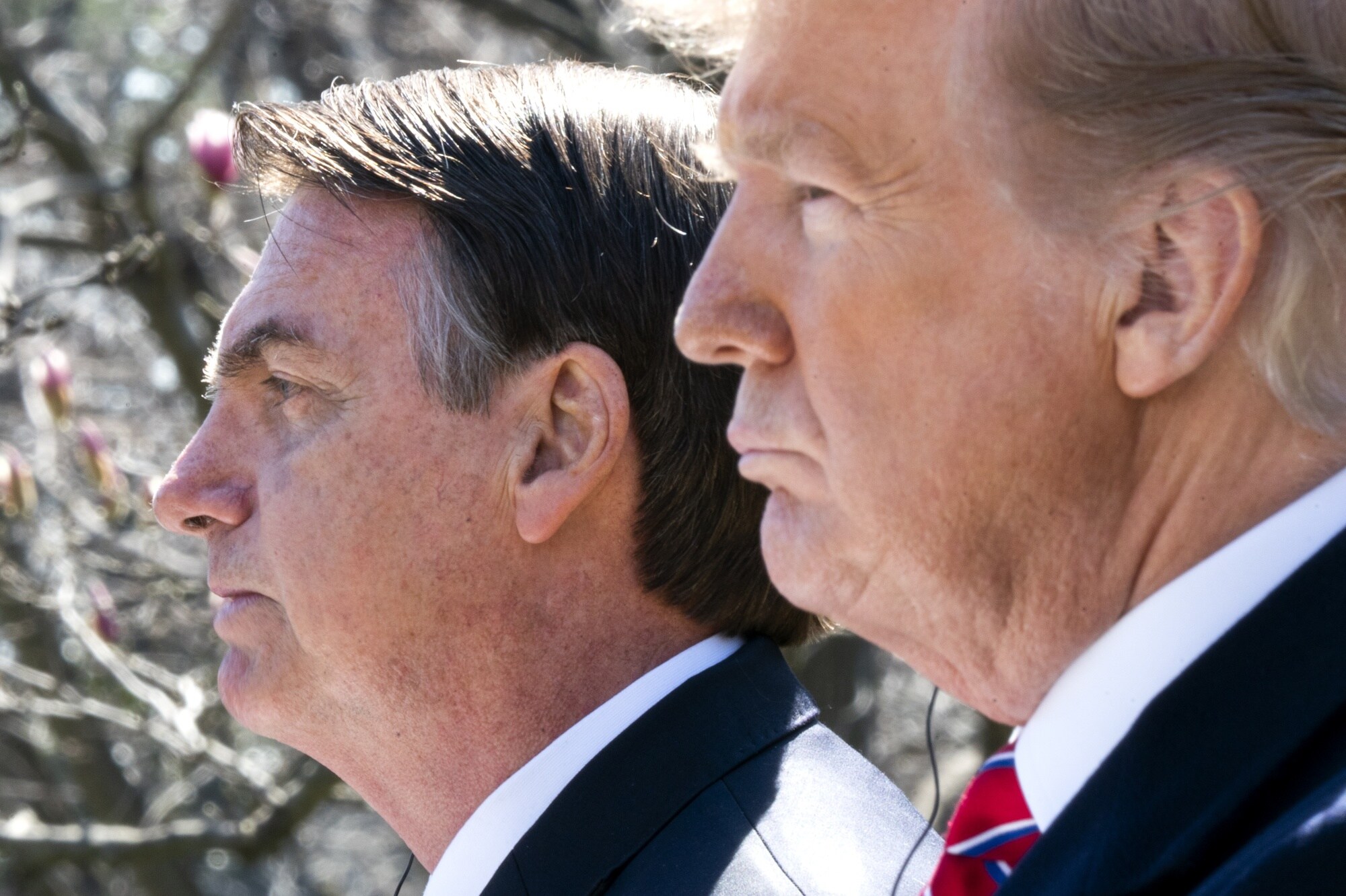 Jair Bolsonaro and Donald Trump in 2019.Photographer: Jim Lo Scalzo/Pool/Getty Images