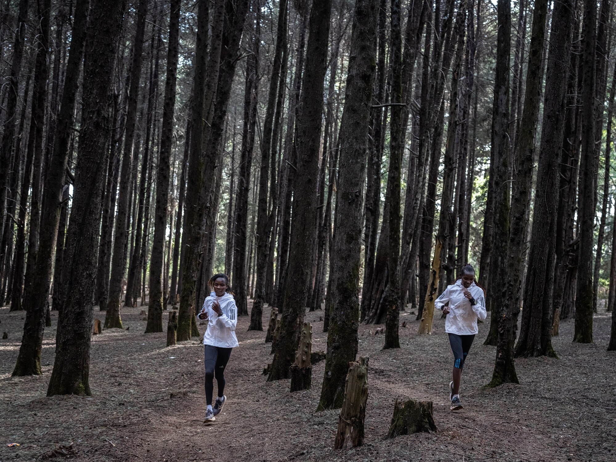Agnes Jebet Ngetich (left) and Chelimo on a training run through the forest in Iten.Photographer: Nichole Sobecki/Bloomberg