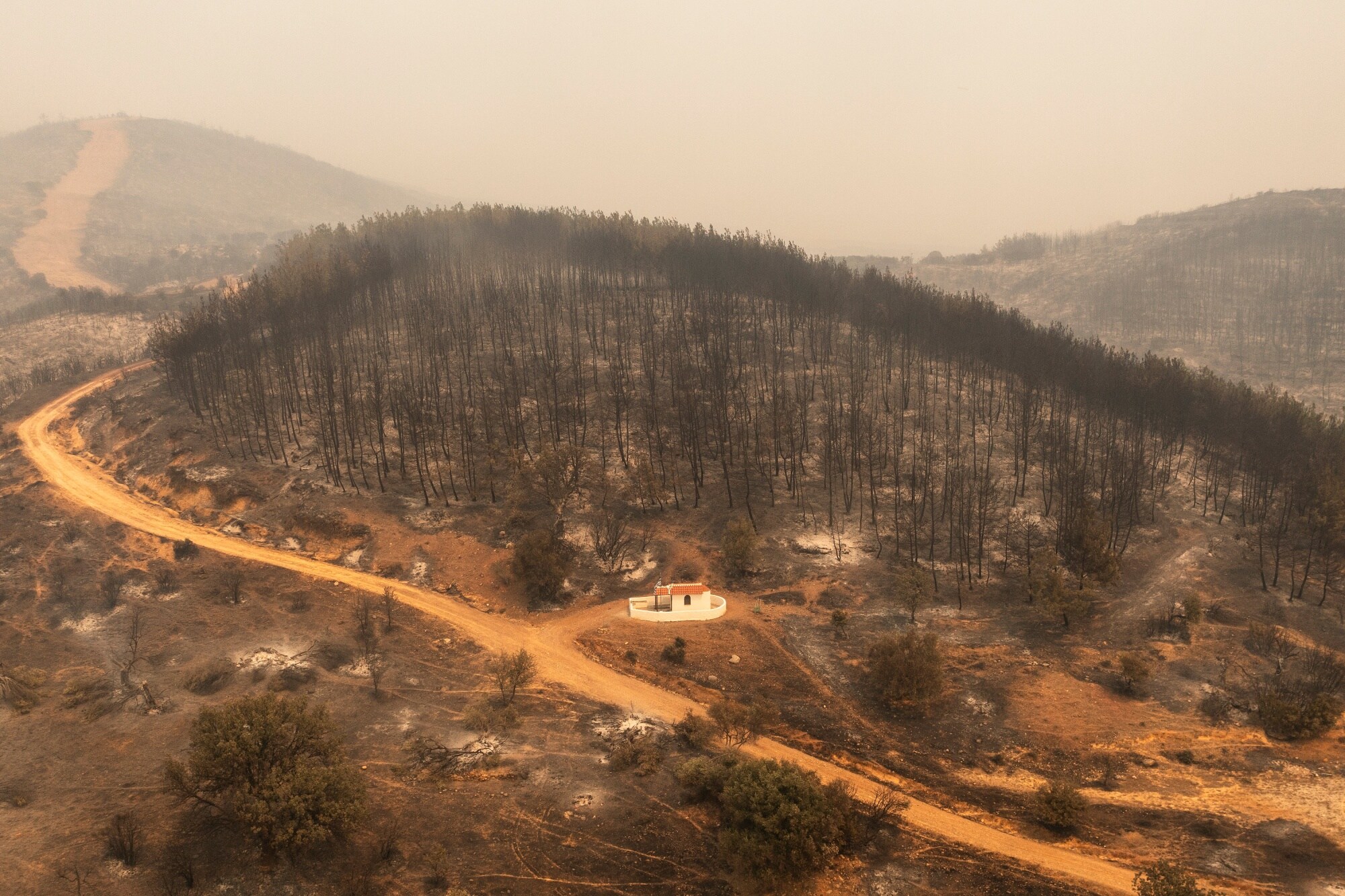 A burnt forest area north of Alexandroupolis, Greece, on Aug. 22.Photographer: Konstantinos Tsakalidis/Bloomberg
