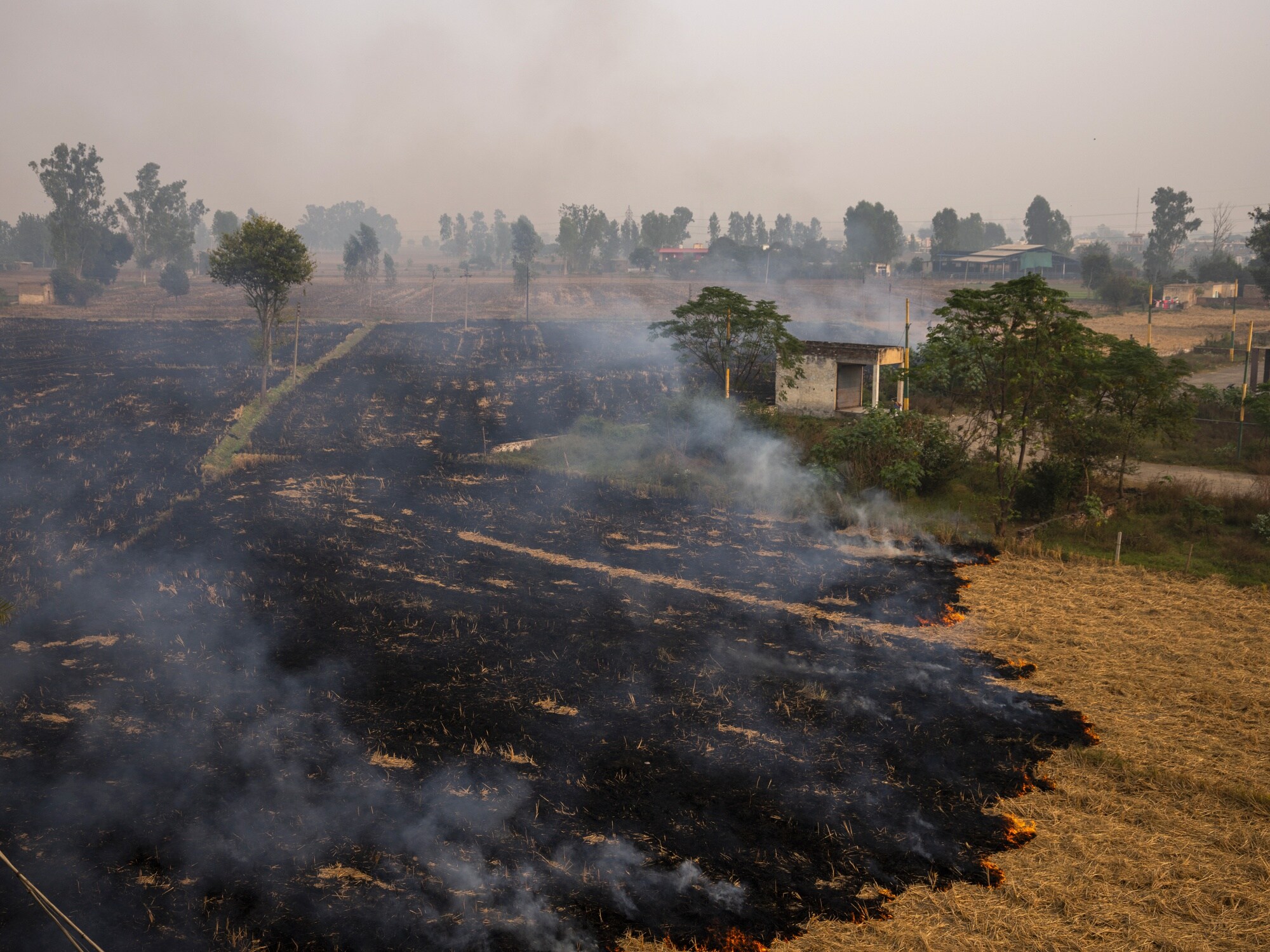 Smoke rises from the burning of rice crop stubble in the Patiala district of Punjab in 2019. Photographer: Prashanth Vishwanathan/Bloomberg