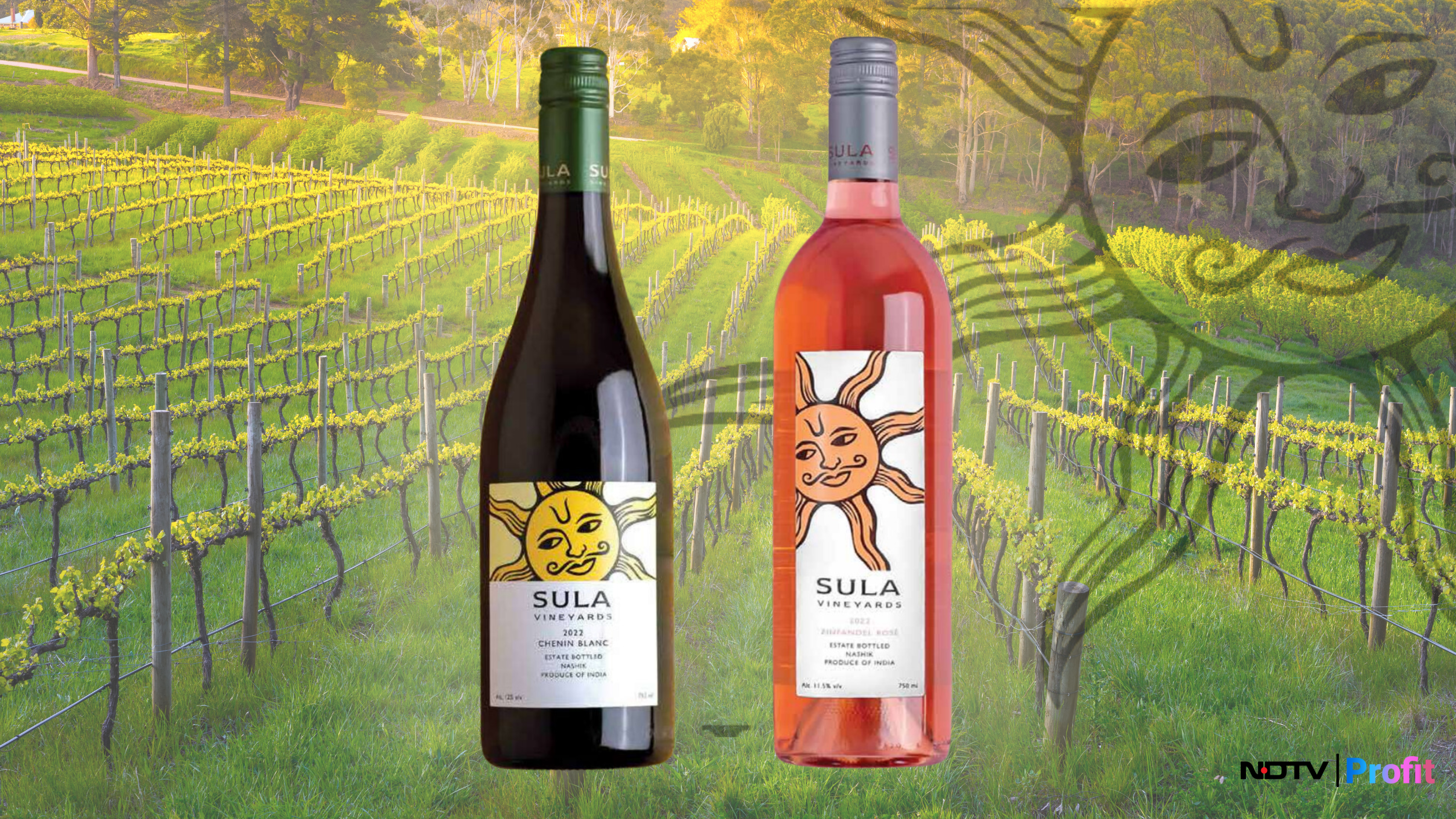 Sula Vineyards Share Price Up After FY25 Business Update Shows Record Revenue
