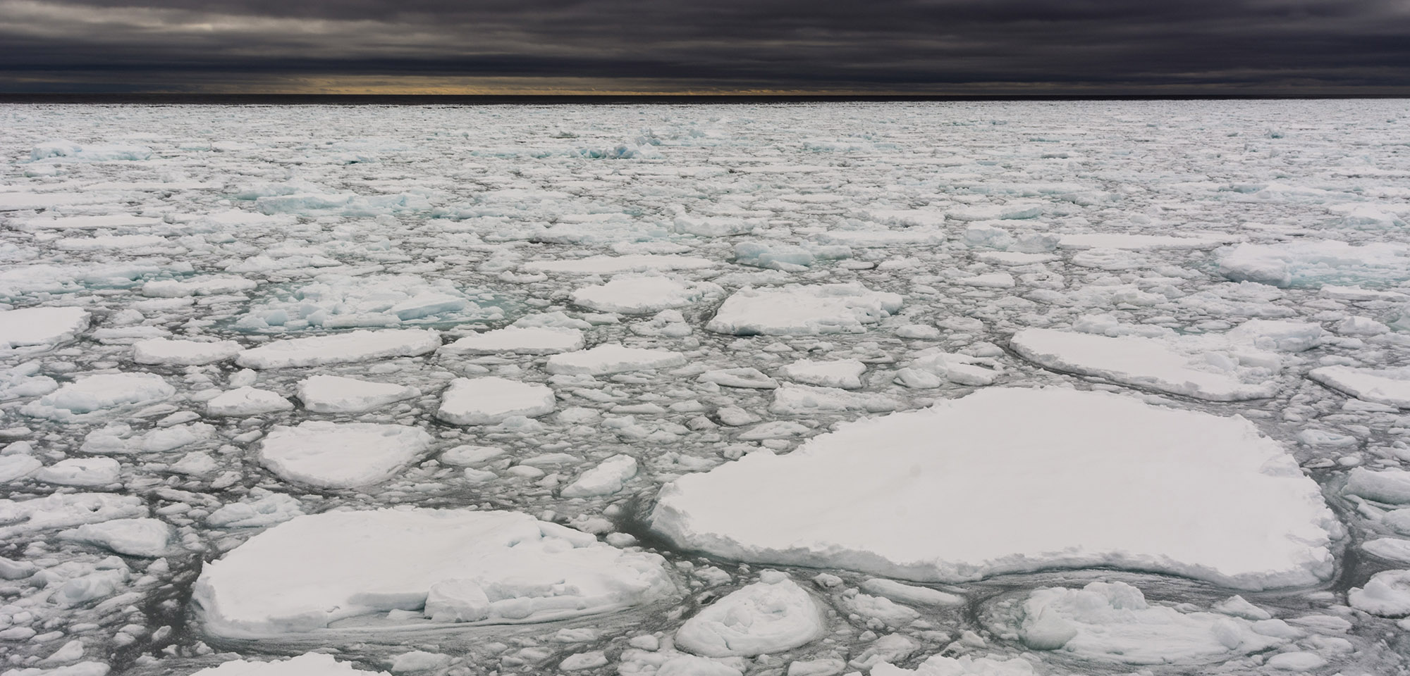 Arctic Sea Ice Shrinks To Record Winter Low As Earth Heats Up