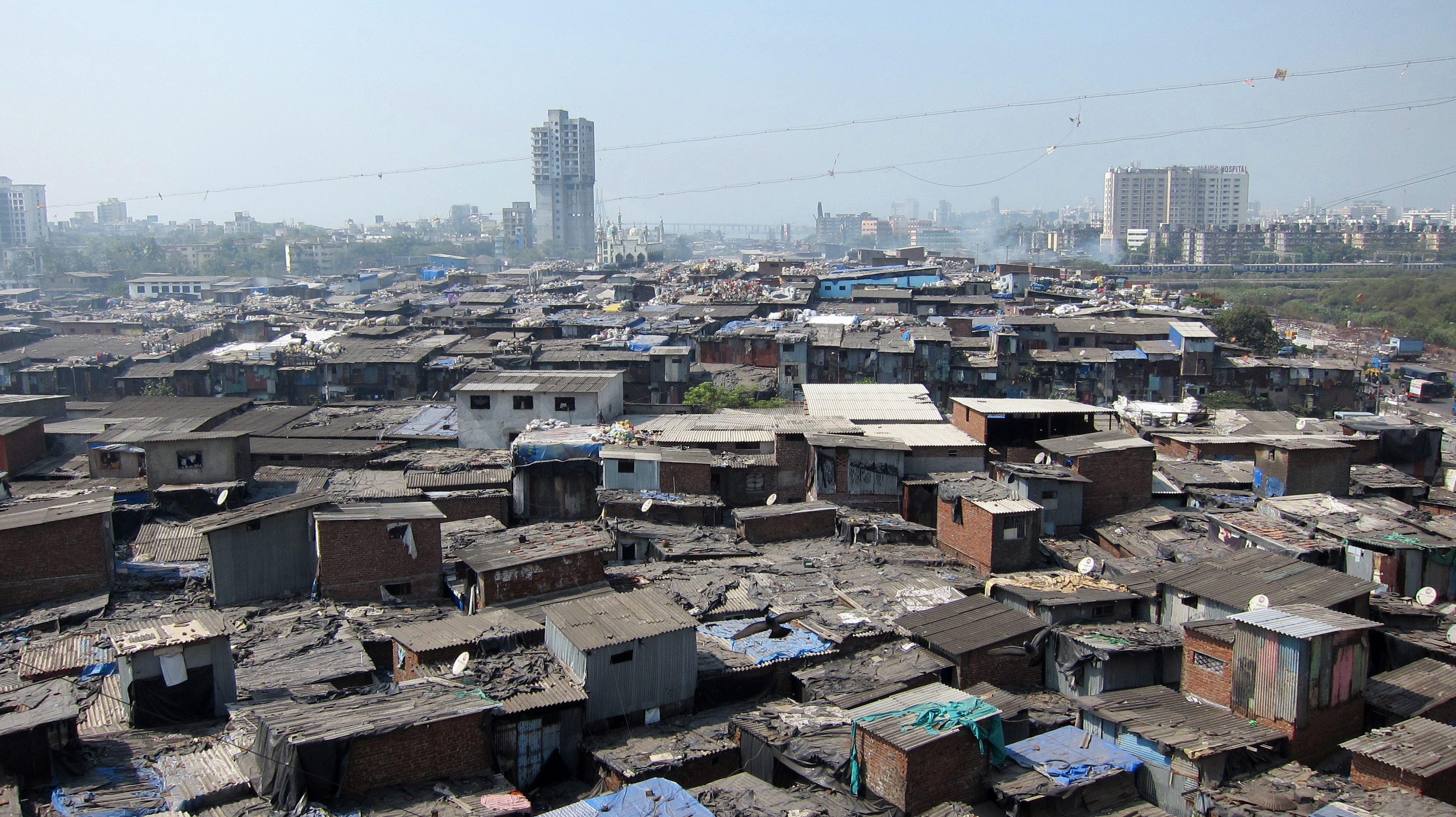 Saltpan Land Allotted For Dharavi Project Is Safe, Says DRP CEO
