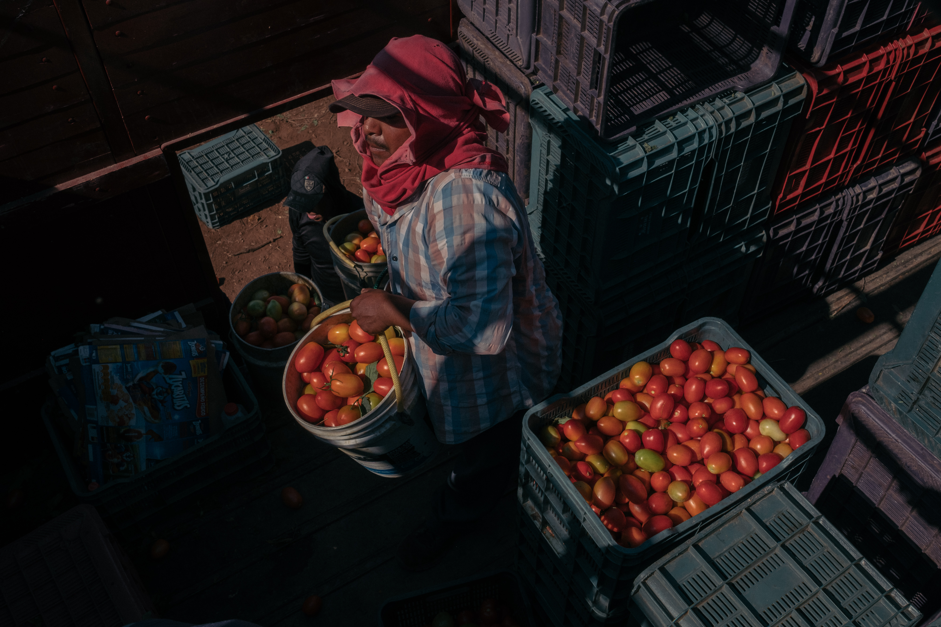 US Will Impose 21% Tariff On Mexican Tomatoes Starting In July