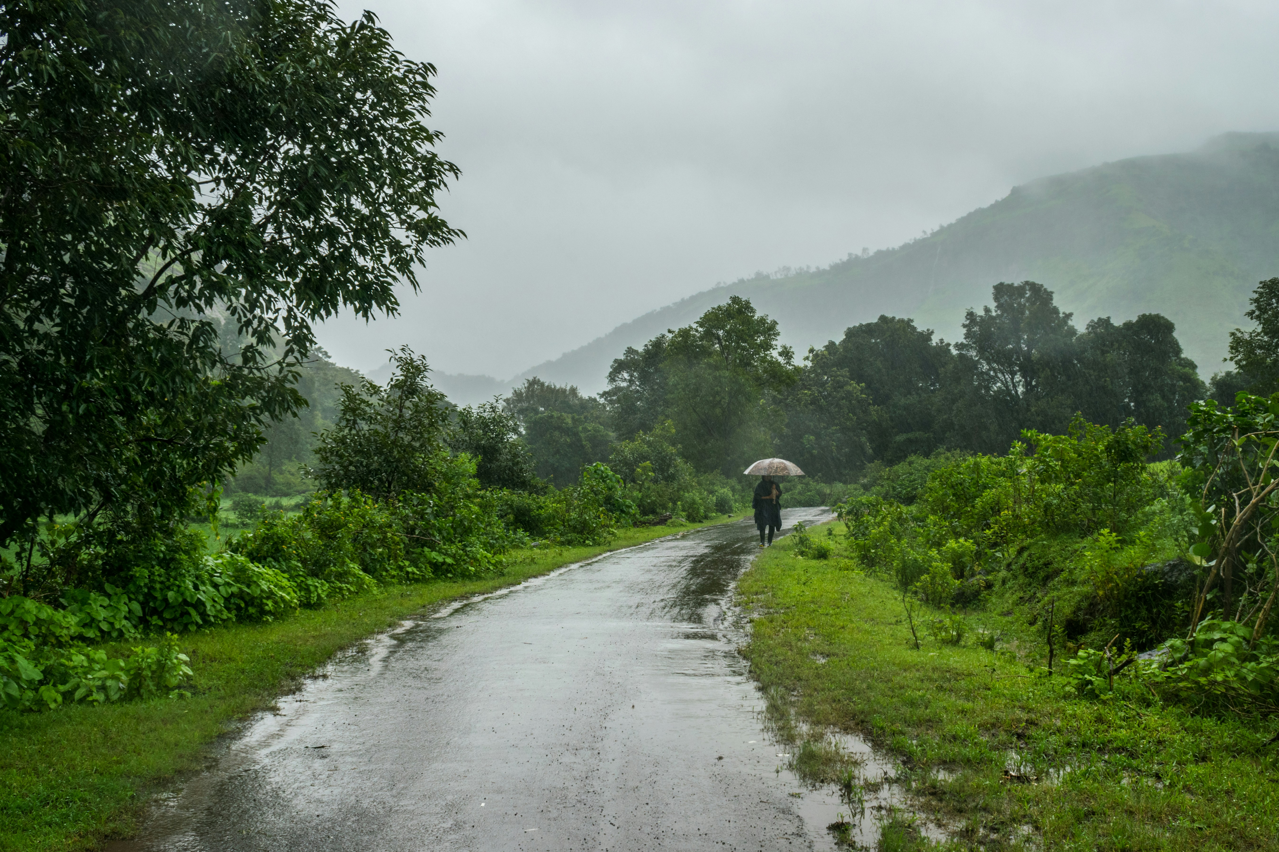 IMD Forecasts 'Heavy' To 'Very Heavy Rainfall' Over Parts Of West India For Next Seven Days
