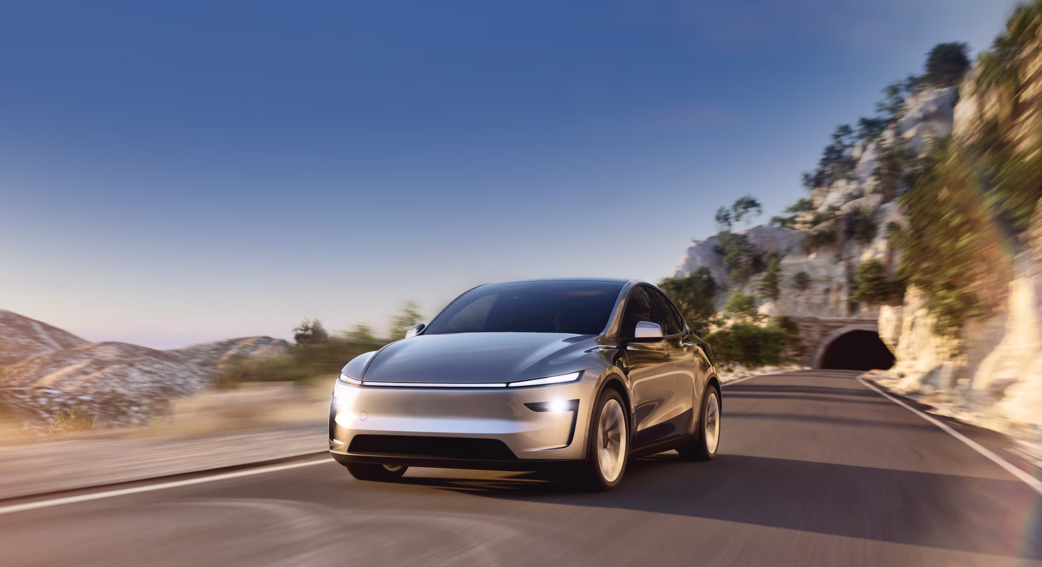 'Worst Financial Decision': Woman Regrets Buying This Model Of Elon Musk's Tesla