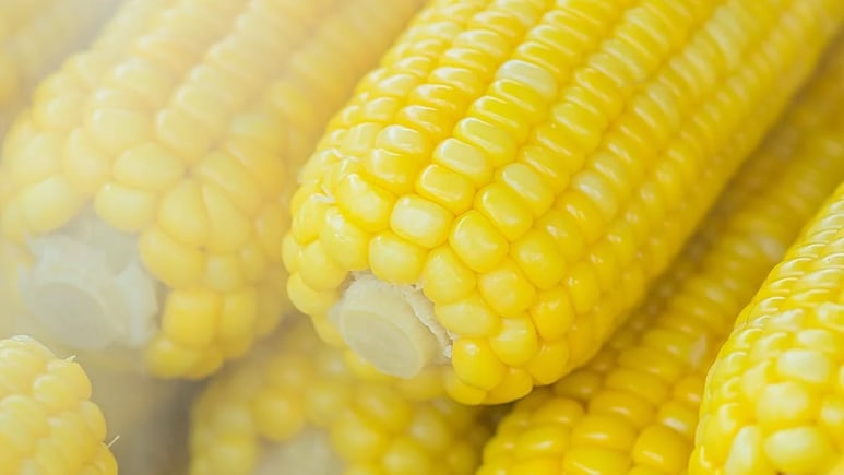 Maize Supply Key To India's Ethanol Blending Target: Shree Renuka Sugars' Executive Chairman