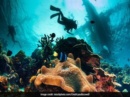 9 Things To Put On Your To-Do List While Visiting Puducherry 9 Things To Put On Your To-Do List While Visiting Puducherry