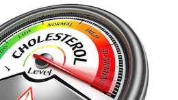 Home Remedies For Cholesterol: 5 Foods That May Help Keep Cholesterol Levels In Check