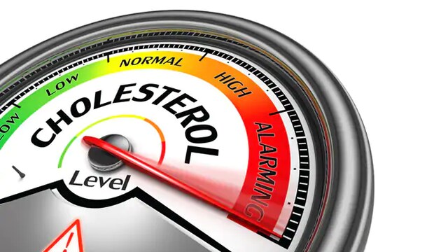 Cholesterol: Rise in bad cholesterol can adversely affect your heart health