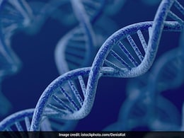 Indian Fertility Bodies Advise Against Routine Use Of Non-Invasive Preimplantation Genetic Testing