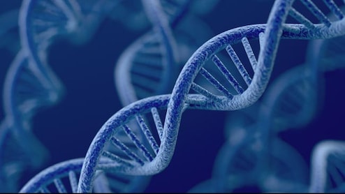 Indian Fertility Bodies Advise Against Routine Use Of Non-Invasive Preimplantation Genetic Testing