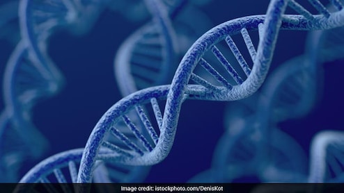 Genetics Account For Over 50% Of Human Life Span, Finds New Study