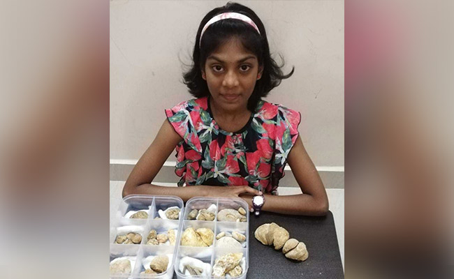 On Teachers' Day, 11-Year-Old "Fossil Researcher" Shows Her Small Museum