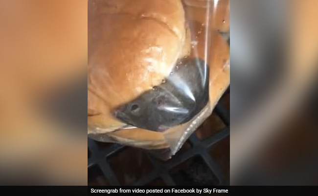 Wendy's Employee Spots Mouse Inside Bag Of Burger Buns. Video Goes Viral