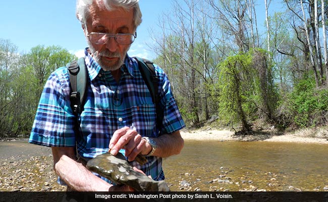 Fossil Hunting 101: Lessons From A Self-Taught Dinosaur Tracker