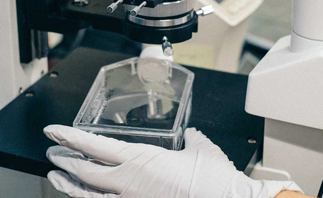 States To Soon Have Cyber Forensic Labs To Check Crimes Against Women