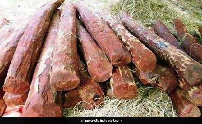 Revenue Officials Seize Red Sanders Wood Worth 4.52 Crore In Mumbai