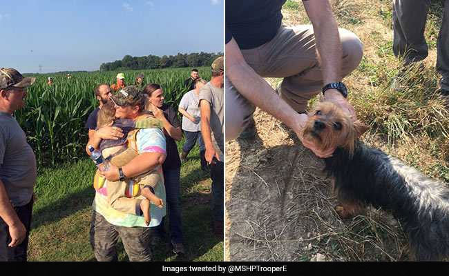 Missing Girl, 3, Found Safe. Her Dog Stayed By Her Side Through The Night