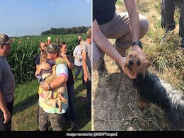 Missing Girl, 3, Found Safe. Her Dog Stayed By Her Side Through The Night Missing Girl, 3, Found Safe. Her Dog Stayed By Her Side Through The Night