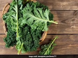 Diabetes Diet: ये 3 हरी पत्तियां डायबिटीज में शुगर लेवल कंट्रोल करने के लिए हैं कमाल, देती हैं जबरदस्त फायदे Diabetes Diet: ये 3 हरी पत्तियां डायबिटीज में शुगर लेवल कंट्रोल करने के लिए हैं कमाल, देती हैं जबरदस्त फायदे
