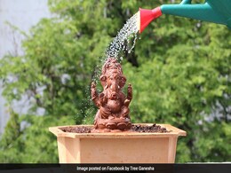 This Ganesh Chaturthi, Grow Your Ganpati Idol Into A Tree This Ganesh Chaturthi, Grow Your Ganpati Idol Into A Tree
