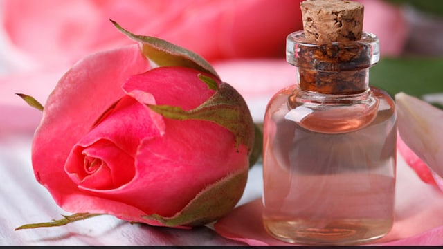 Haircare: Rose water is beneficial for your skin as well as hair