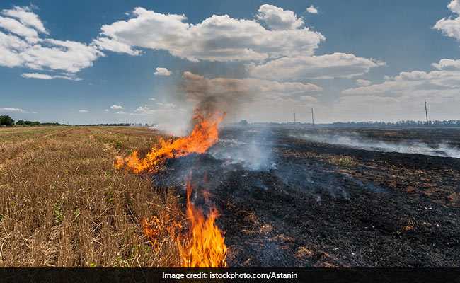 Punjab Launches 3 Mobile Apps To Check Stubble Burning