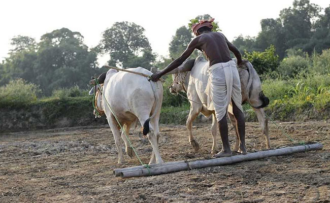 1,507-Crore Paid To Maharashtra Farmers In Drought-Hit Areas: Minister