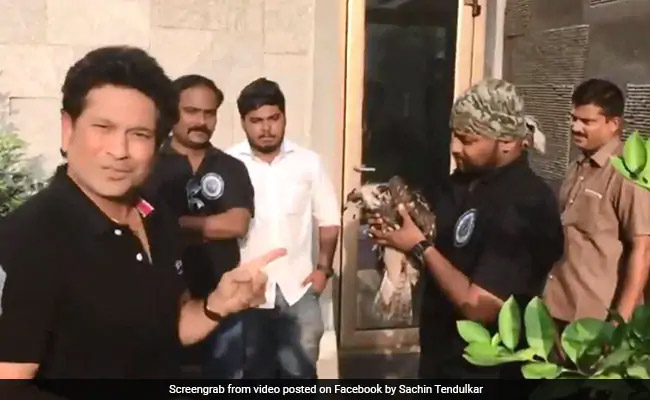 VIDEO: कौवे कर रहे थे चील पर हमला, Sachin Tendulkar ने ऐसे बचाई जान