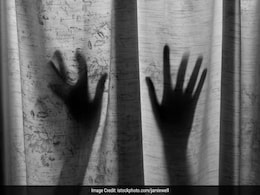 Decline In Domestic Violence Calls Since Lockdown: Delhi Women's Panel Decline In Domestic Violence Calls Since Lockdown: Delhi Women's Panel