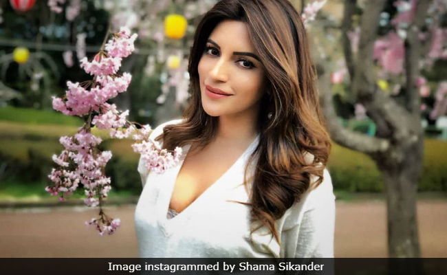 Shama Sikander On Bipolar Disorder Struggle: 'Don't Know How I Survived'