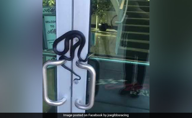 Snake Wraps Itself On Door Handle. Viral Video Will Make You Squirm